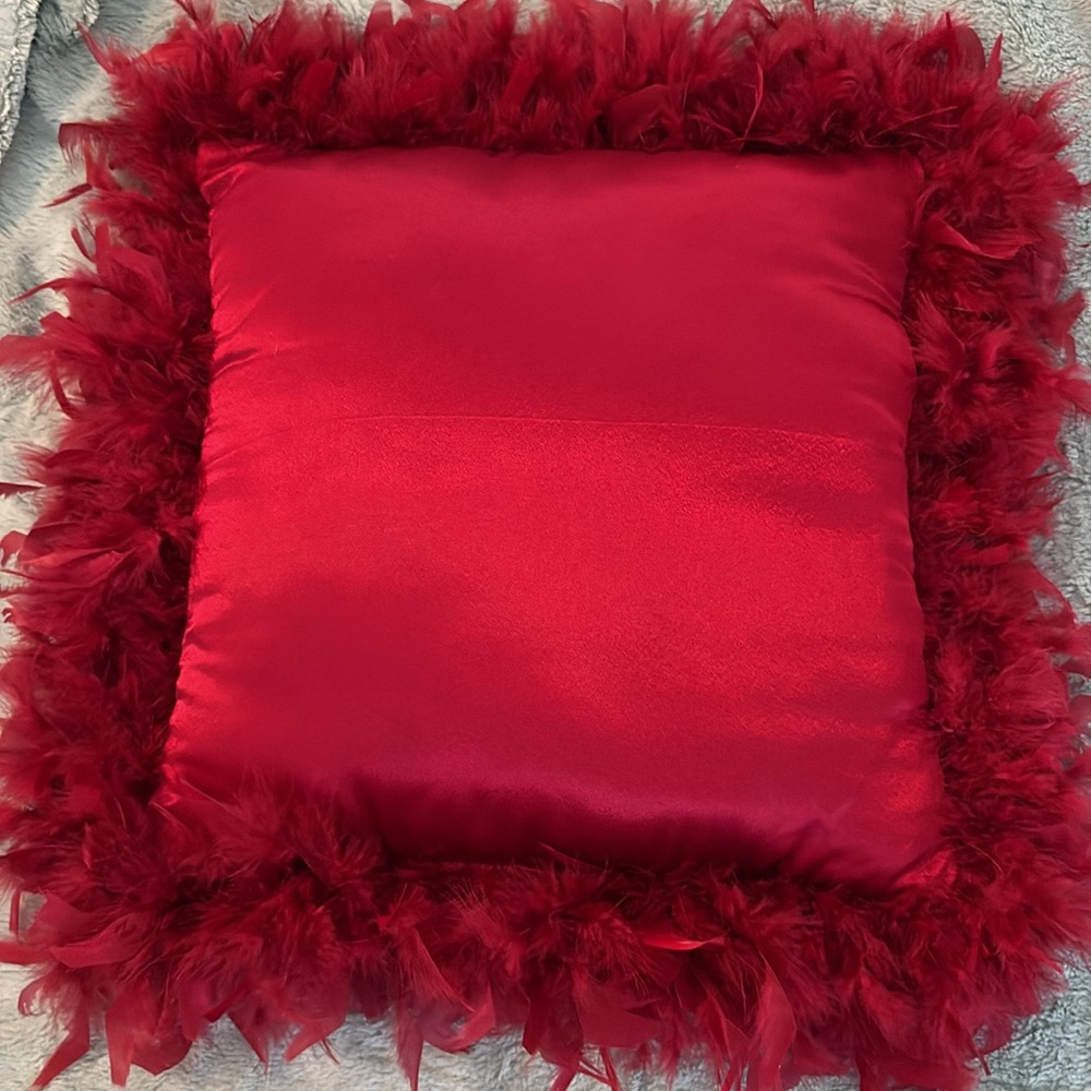 Like new 15” pillow with up to 4” feathered edge.
Wine red color, no tags.  $19